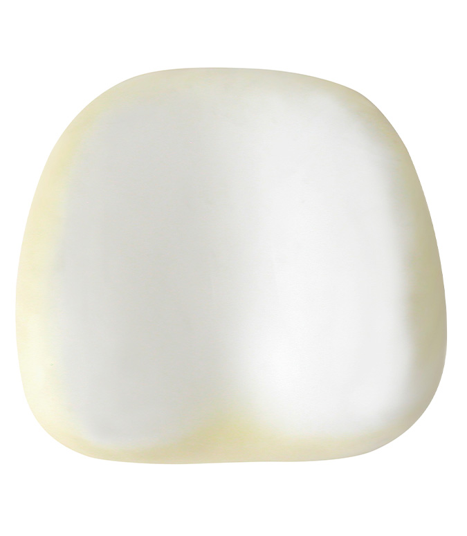 Poliuretano para Rex Medio o Valter