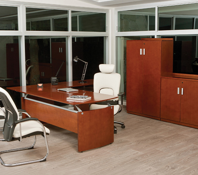 Escritorio Tempo -  Roche 02